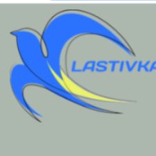 Lastivka Ukrainsk Organisation