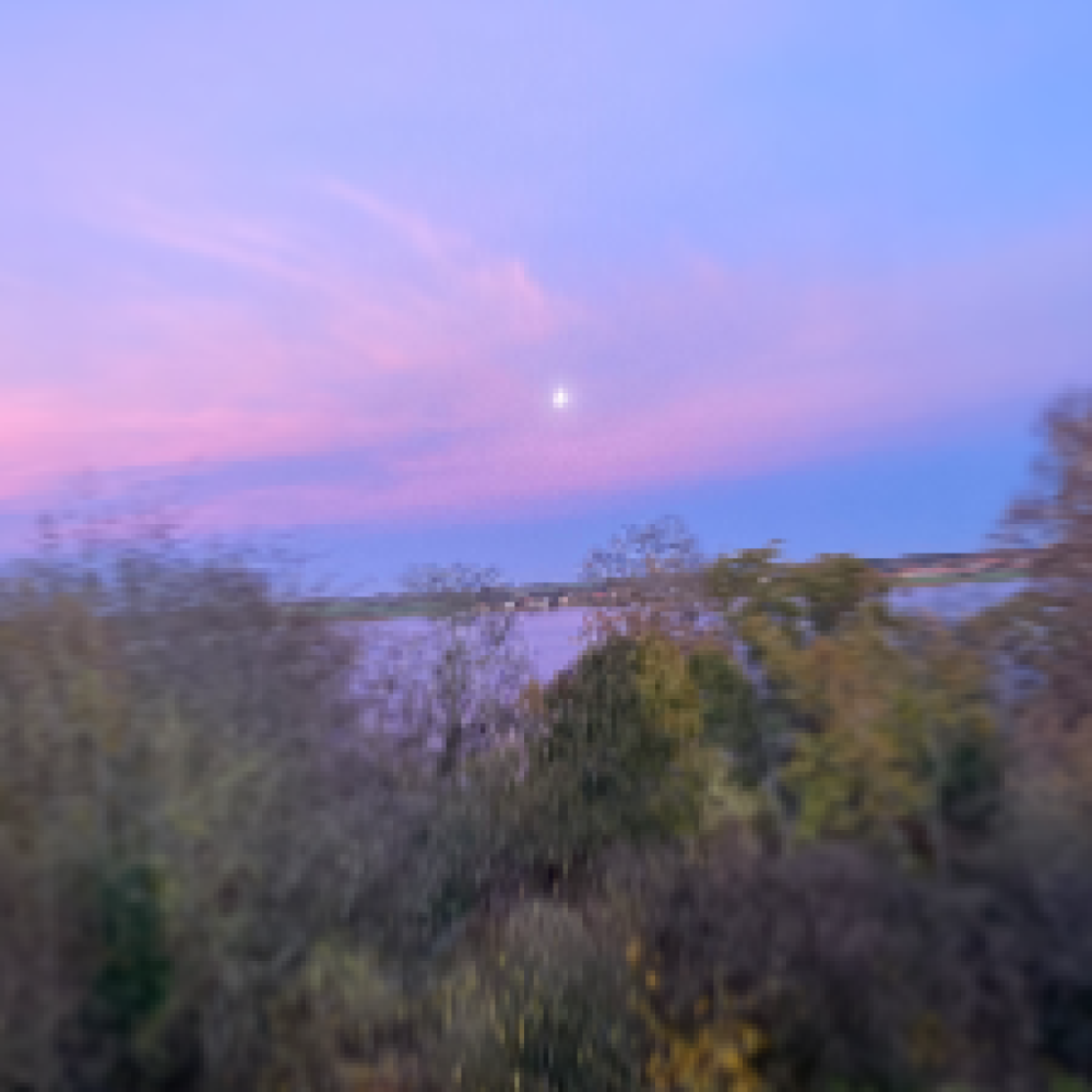 Fælles vægttabsprojekt