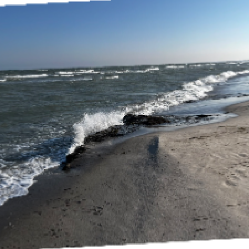 Par sommerhusvenner Falster