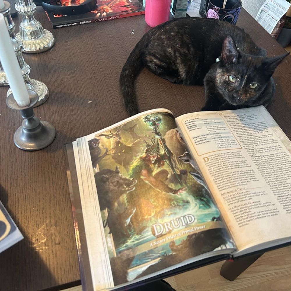 Søger spillere til DND 5.5