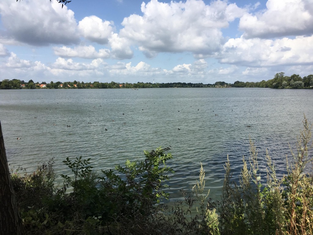 Skrivende naturvidenskaber