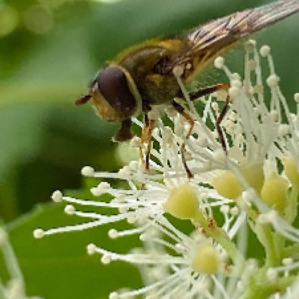 Bedre mental trivsel