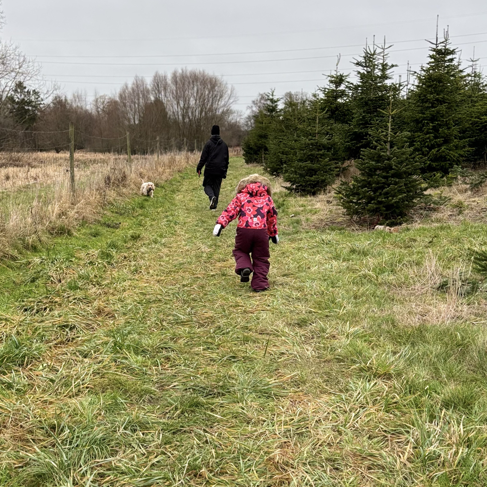 🌿 Reservebedste søges