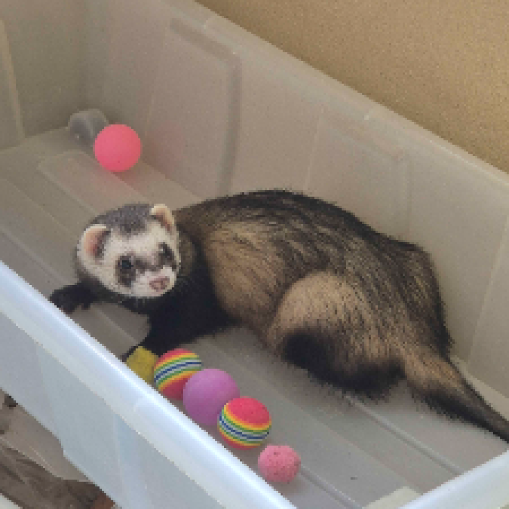 Leder du efter en at game med? :D