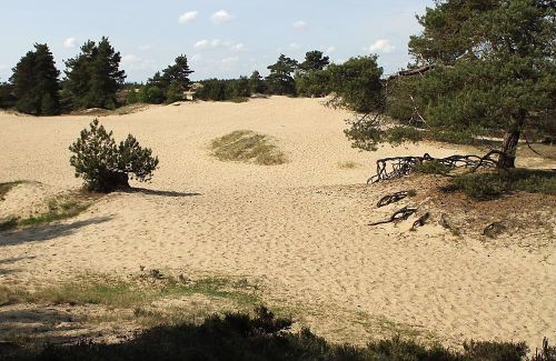 Gå dig glad i Grene Sande