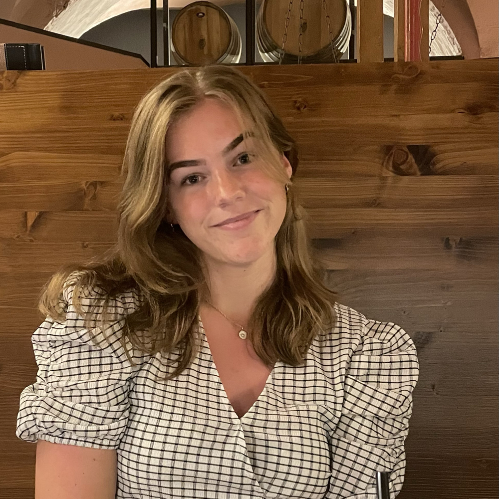 Venner/gruppe til oplevelser