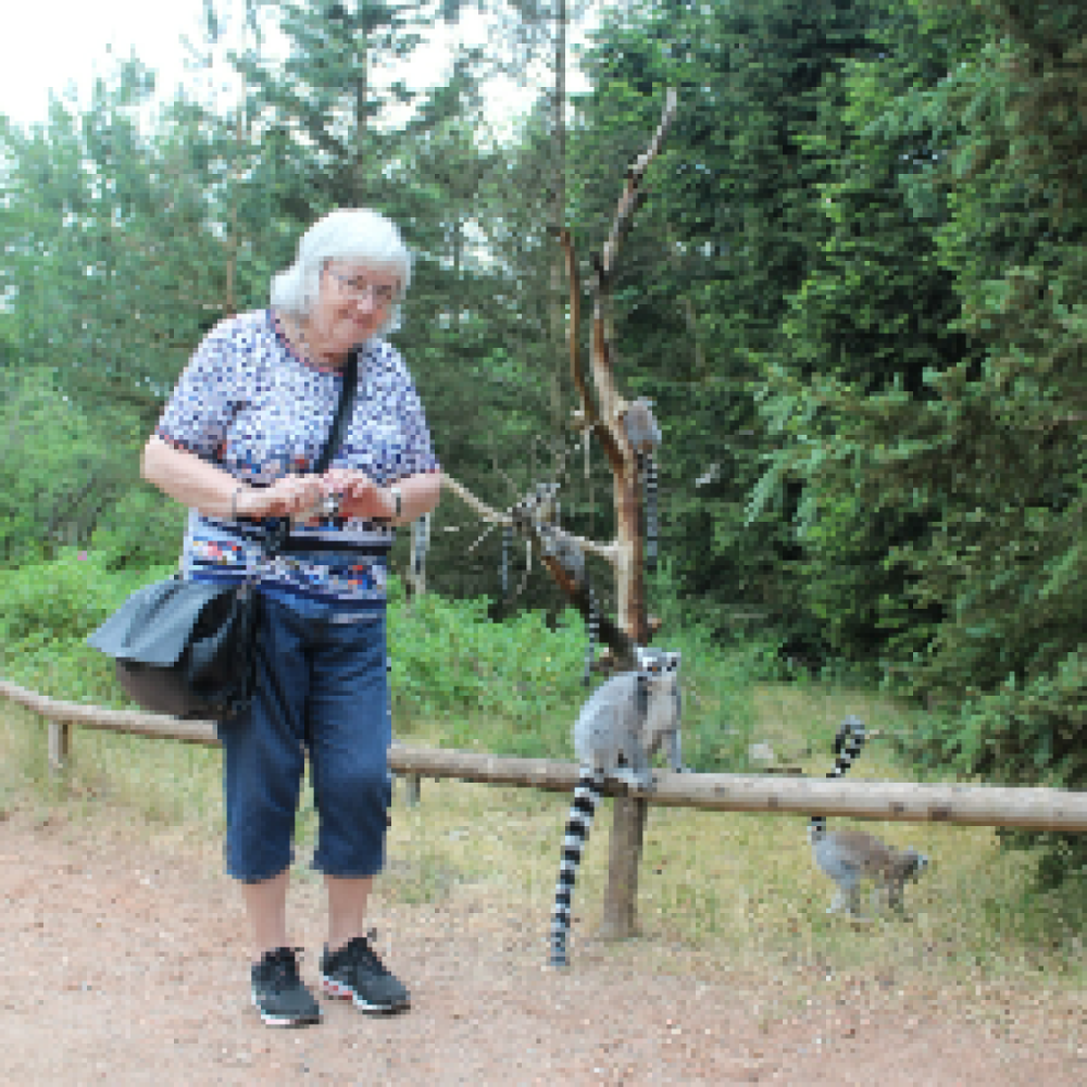 God veninde til hyggelig samvær
