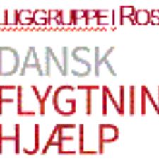 Frivilliggruppe i Roskilde
