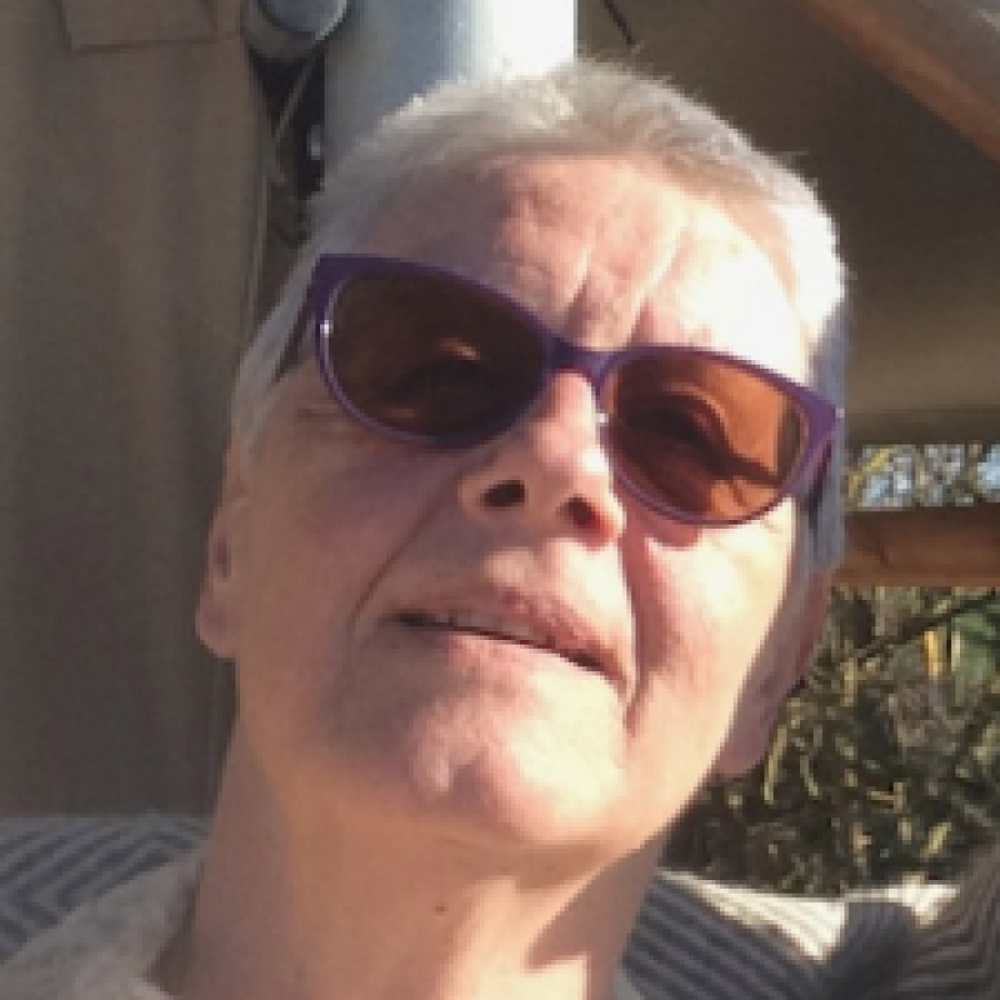 Veninde til at snakke Dansk med