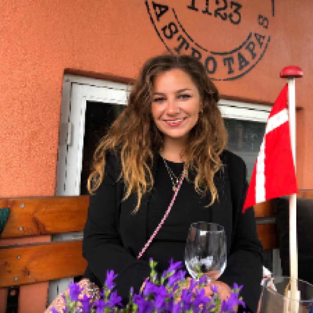 Søger veninder i København