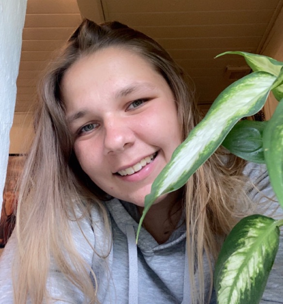 Søger venner/veninder