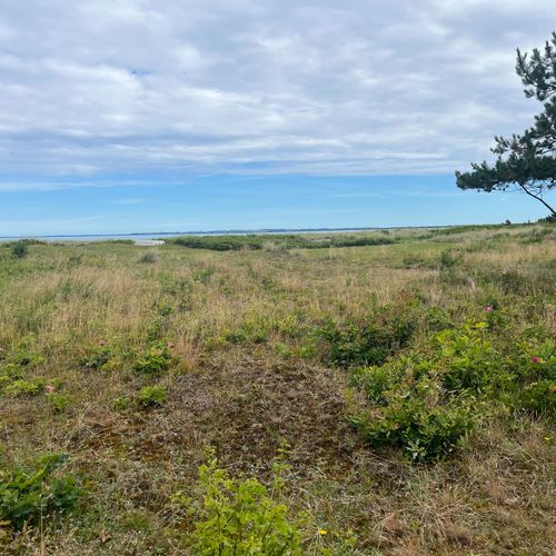 Overvejer bofællesskab