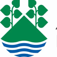 Ordblindeundervisning i Ærø kommune