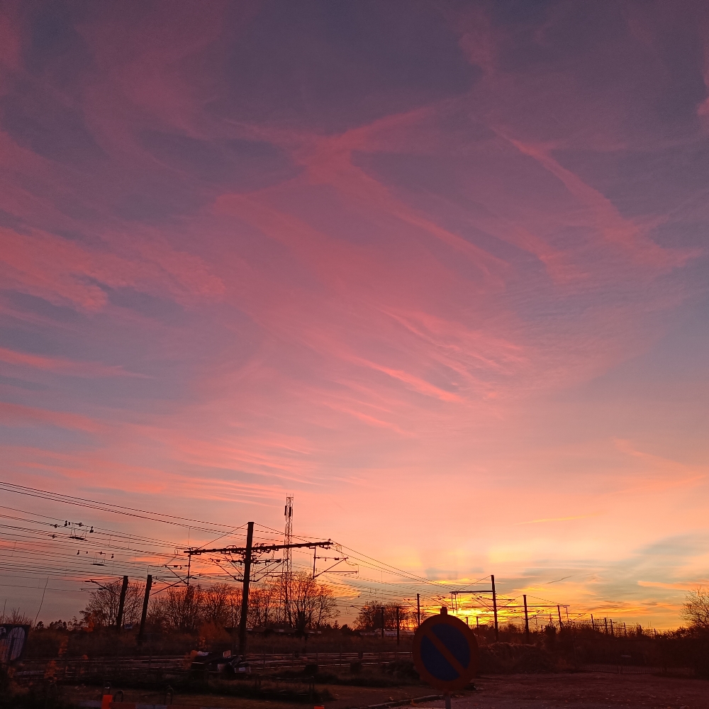 Venner og veninder med tålmodighed 