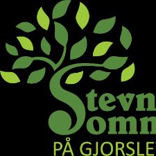 Stevns sommerspil