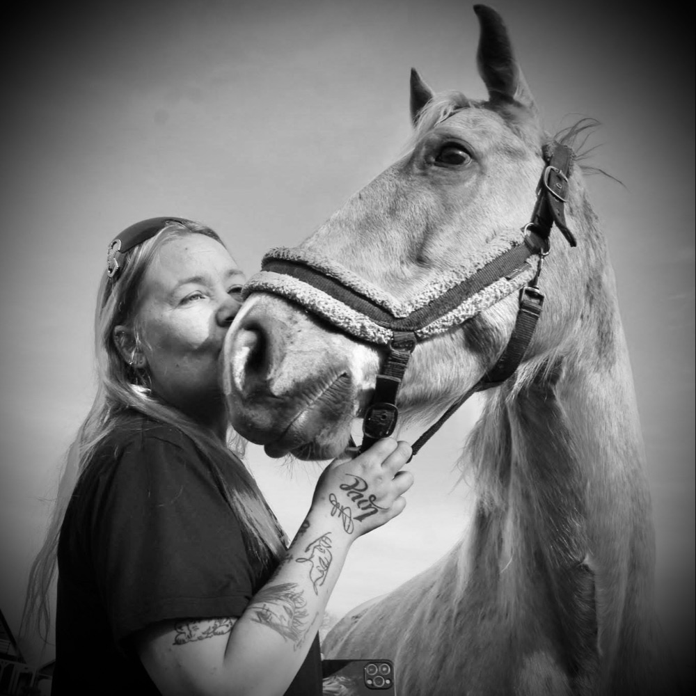 Venner og veninder søges