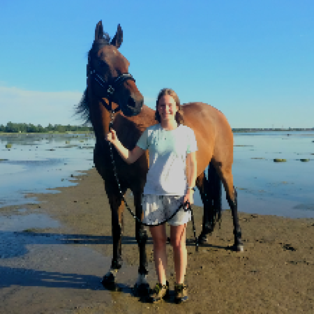 Dyrepasser & hundelufter 