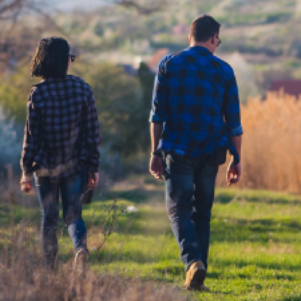 Ku' du tænke dig en bevægelsesven?