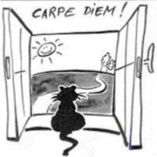 Lokale bekendtskaber søges 😸