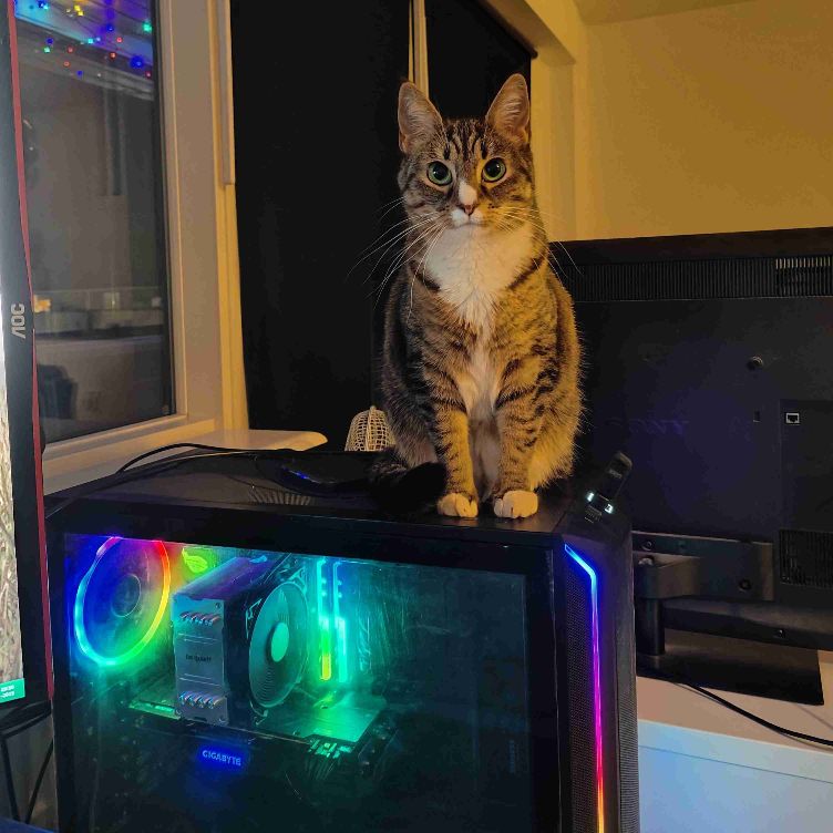 ✨PC gaming og irl venskaber søges✨