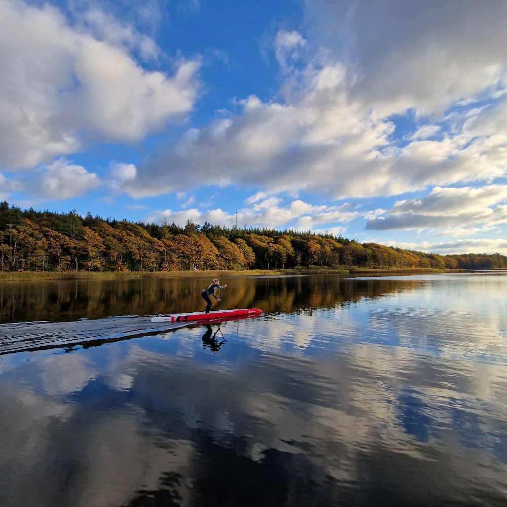 Have, vand og outdoor i Silkeborg