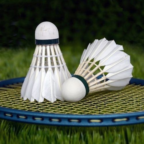 Badminton 