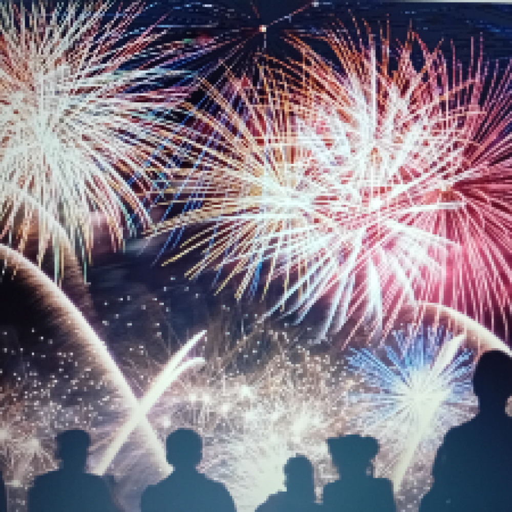 Børnefamilier søges til nytårshygge