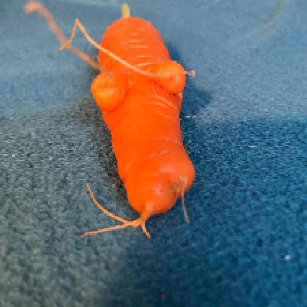 Gode relationer til biografture mm