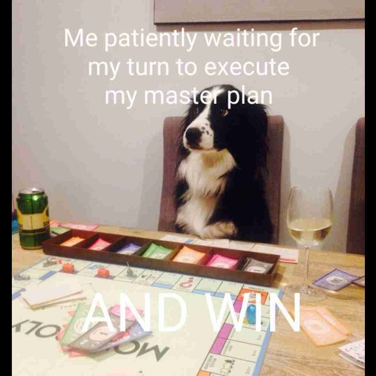 (Board) game buddies 😁
