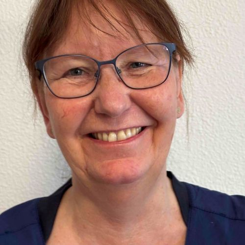 Venskab søges 