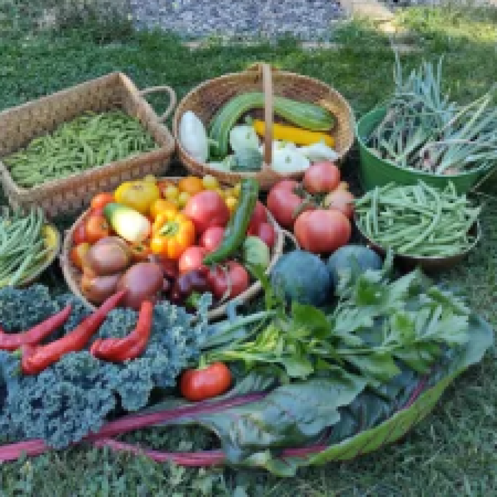 Må jeg bruge din jord?