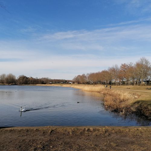 Veninder/venner søges