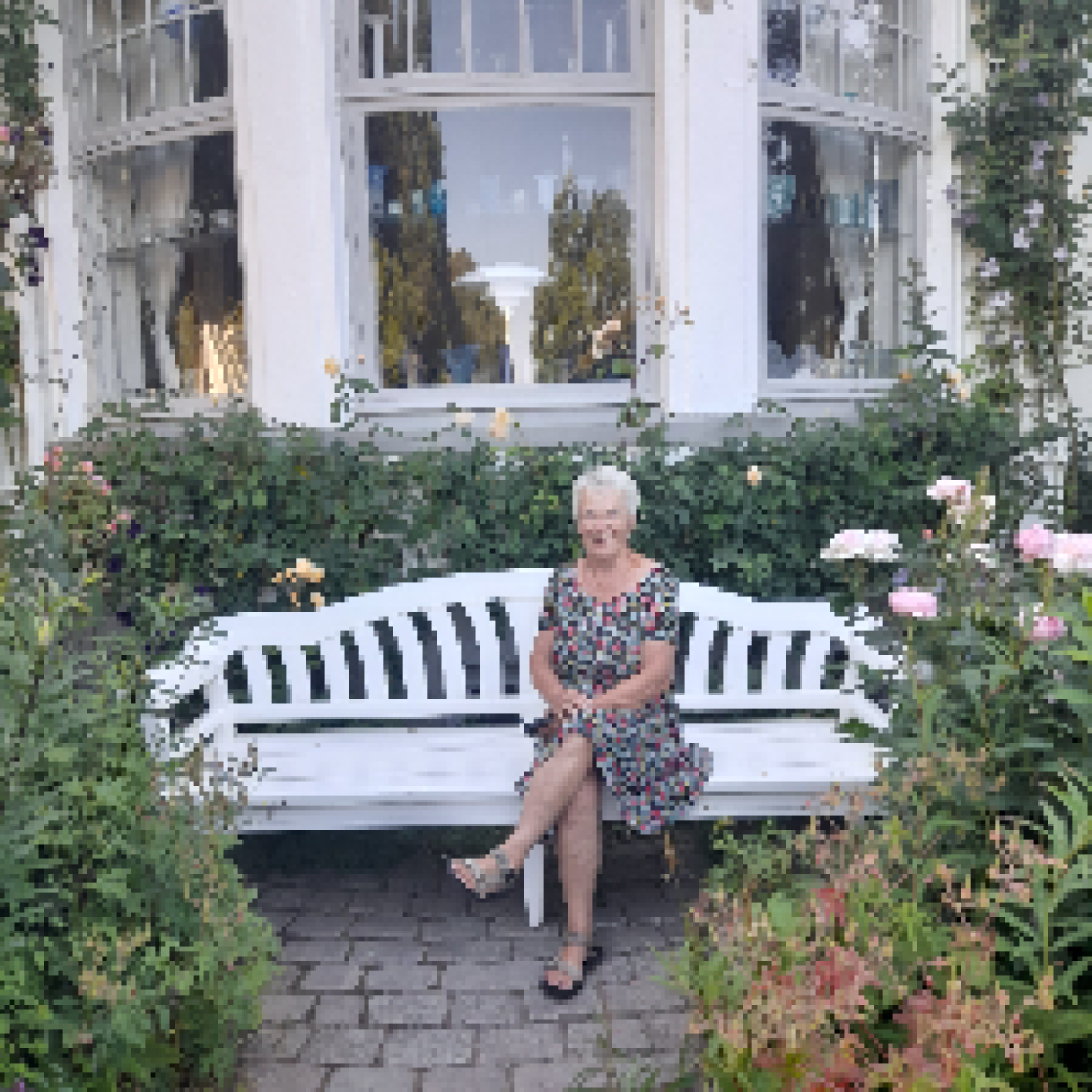 Søger rejsevenner .