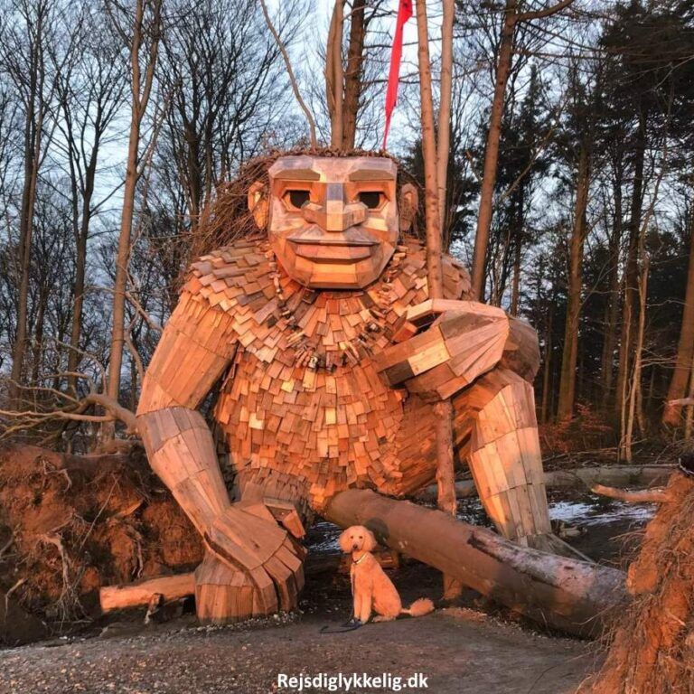 Fyld oplevelsesrygsækken