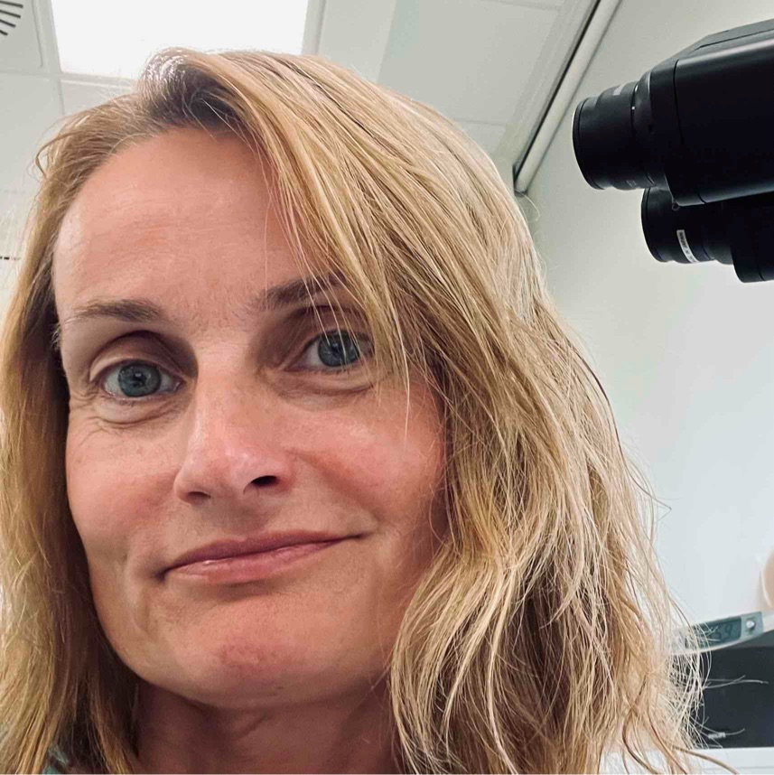 Søger bekendtskaber/venner