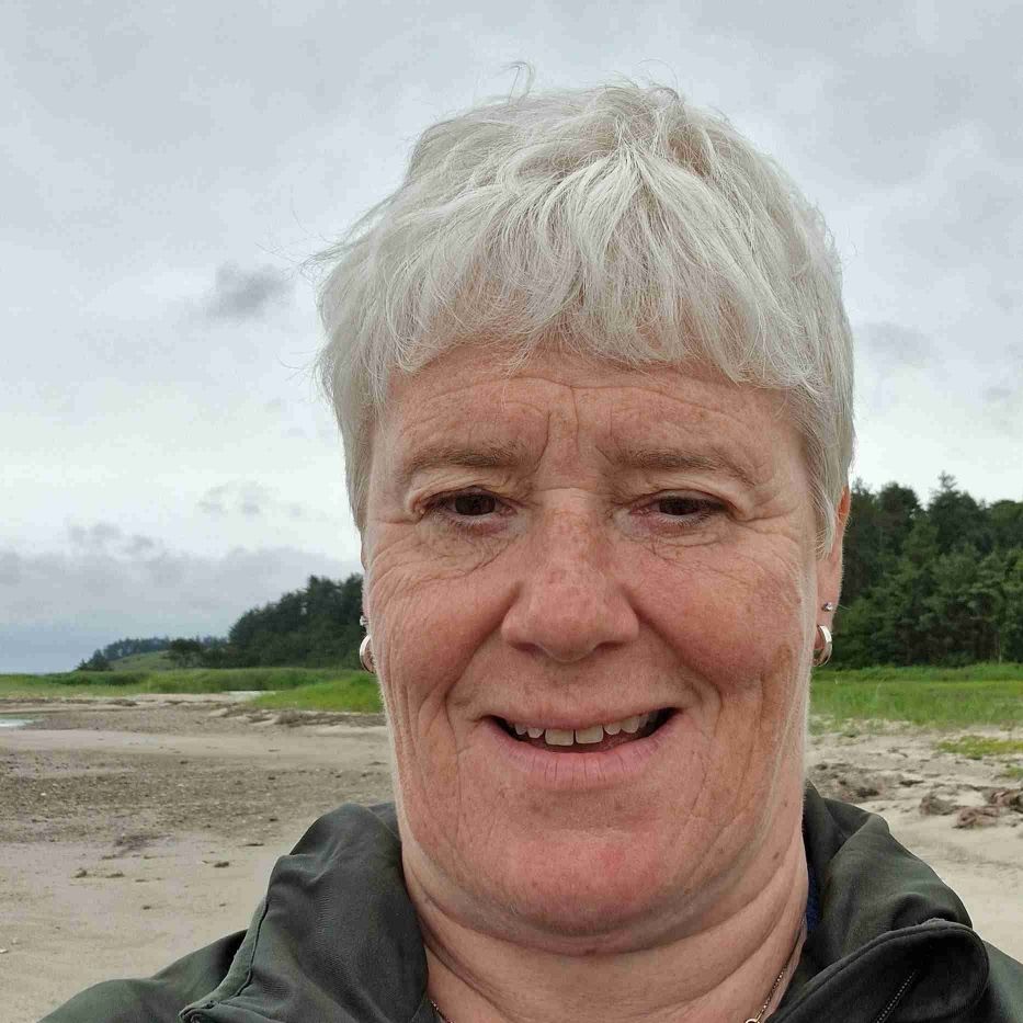 Søger venner/ veninder 