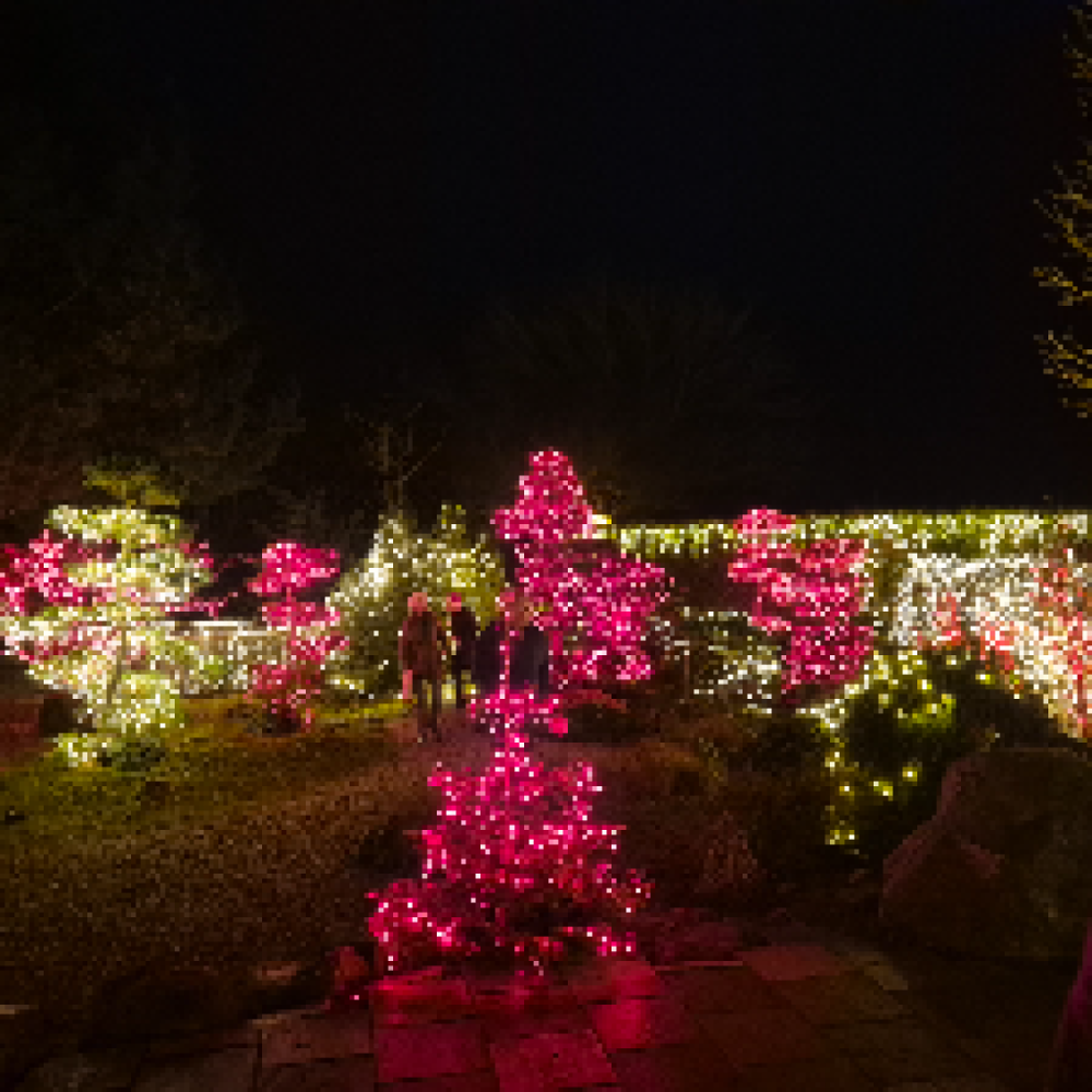 NYTÅRSFEST I DALMOSE!