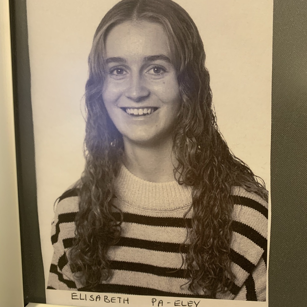 Søger barnepige job