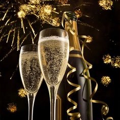 Børne og hundevenlig nytårsaften🍾