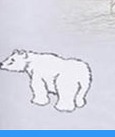 Ishøj Strandbadeforening, Isbjørnen