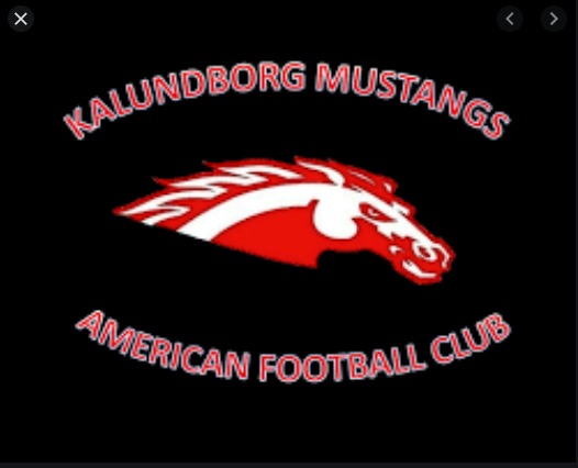 Kalundborg Mustangs