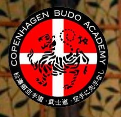 Copenhagen Budo Academy