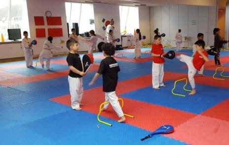 Nørrebro Taekwondo klub