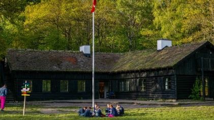 Det Danske Spejderkorps