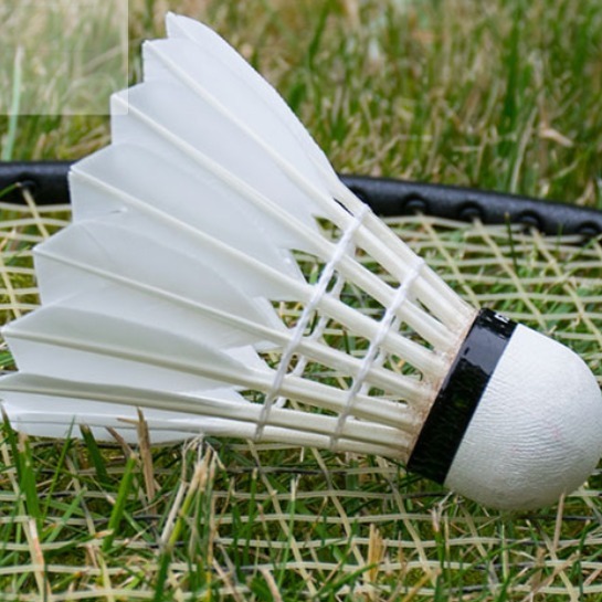 Tønder badminton