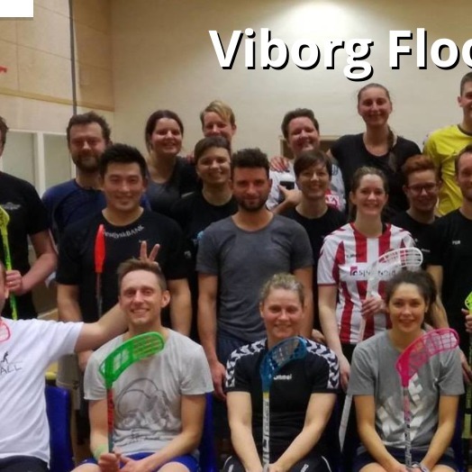 Viborg Floorball Klub
