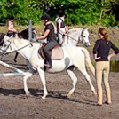 Lyngby-Taarbæk Rideklub