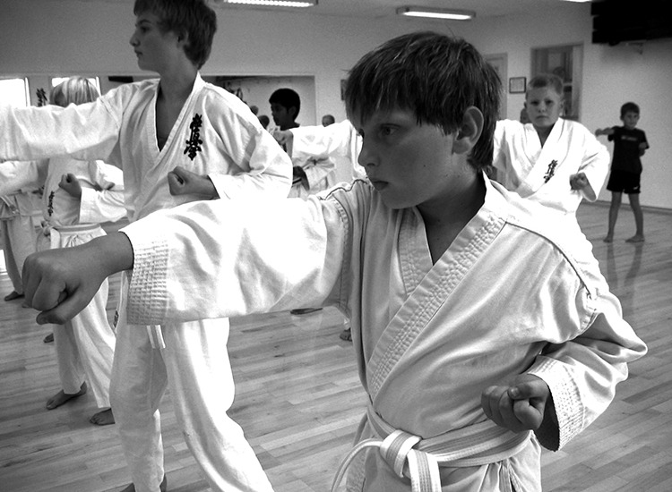 Svendborg Karateskole