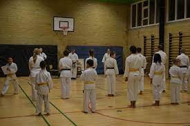 Hårlev Karateklub 