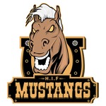 HIF Mustangs - E-Sport